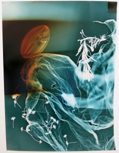 Baptiste Rabichon, recombinaisons rapides 4, 2014, photogramme, 63 x 83 cm